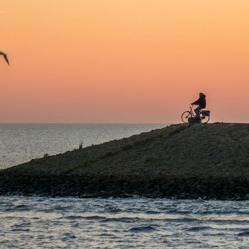 Maximilian Kielhauser