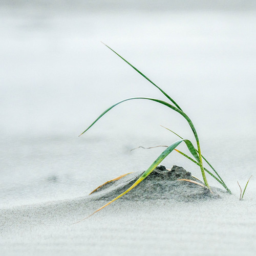 Maximilian Kielhauser