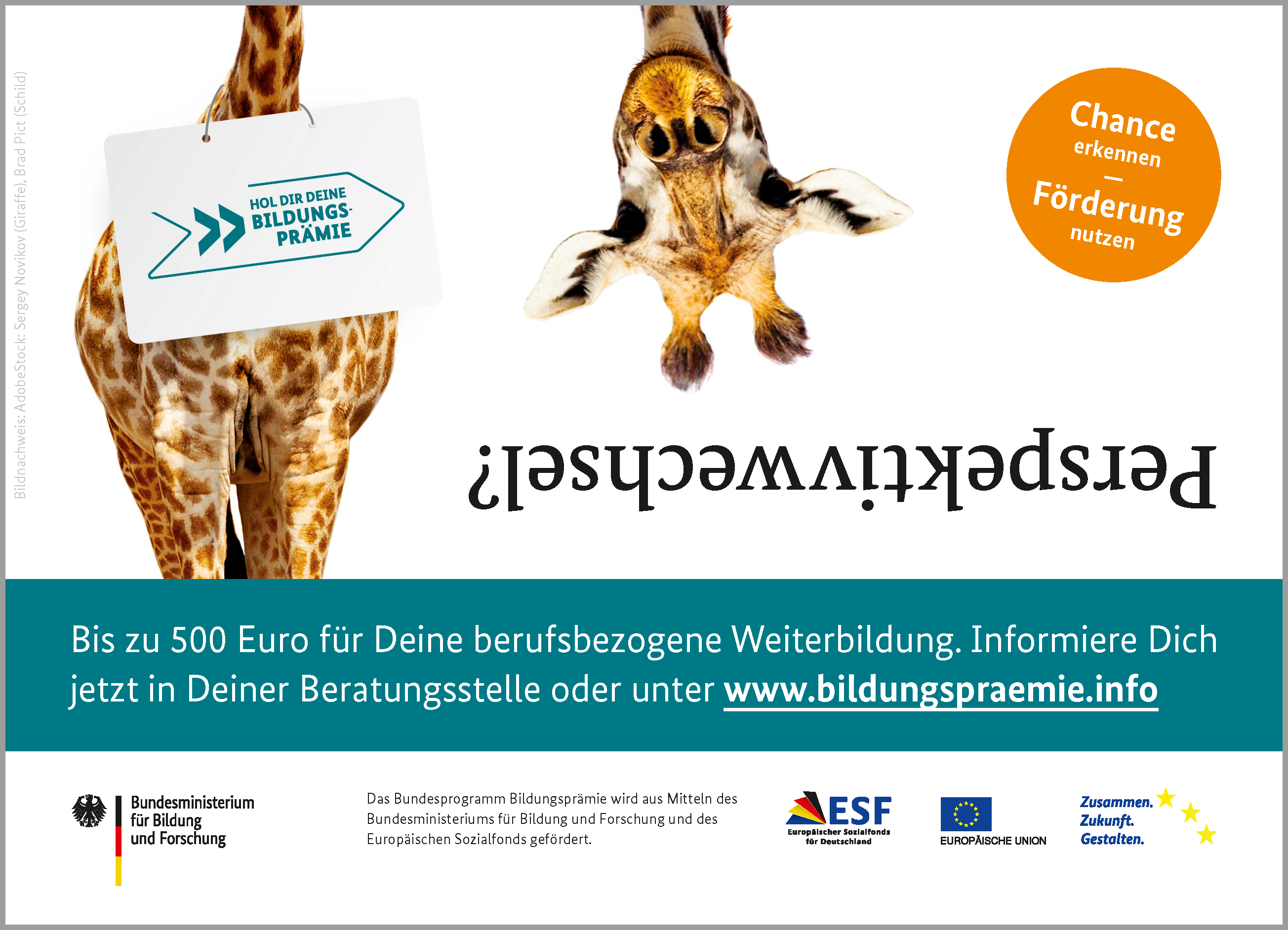 staatliche förderung fenster 2021